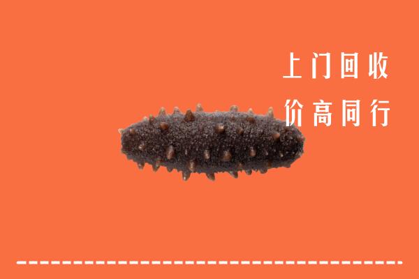 高价求购：琼海回收海参