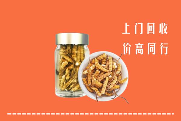 琼海回收冬虫夏草