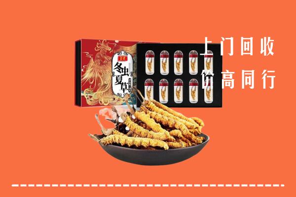 琼海回收虫草